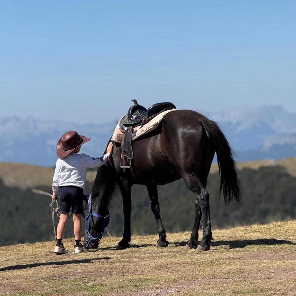 Child approaching a horse