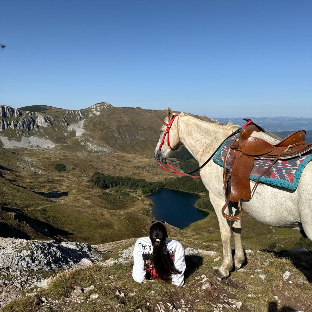 Above Biogradsko & Pešića Lake